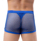 100% See-through Mesh Trunks