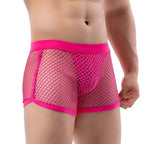 100% See-through Mesh Trunks