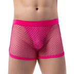 100% See-through Mesh Trunks