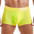 Shiny Waist Trunks