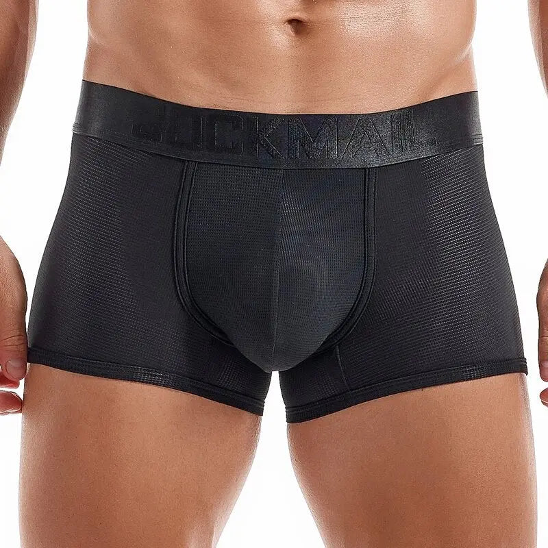 Shiny Waist Trunks