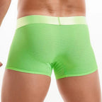 Shiny Waist Trunks
