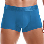 Shiny Waist Trunks