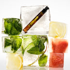 CITRUSH Travel Fragrance by Boy Smells