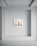 Miles Stewart, Anonymous, 2022
