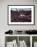 Braden Summers, Les Hommes #4, 2025