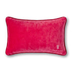 Time for my Medicine Needlepoint Pillow