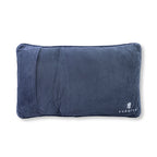 Uncomfortable Needlepoint Pillow