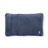 Uncomfortable Needlepoint Pillow