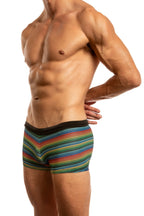 World Pride Bali Cut Swim Trunk