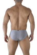 Xtremen Microfiber Briefs - Gray