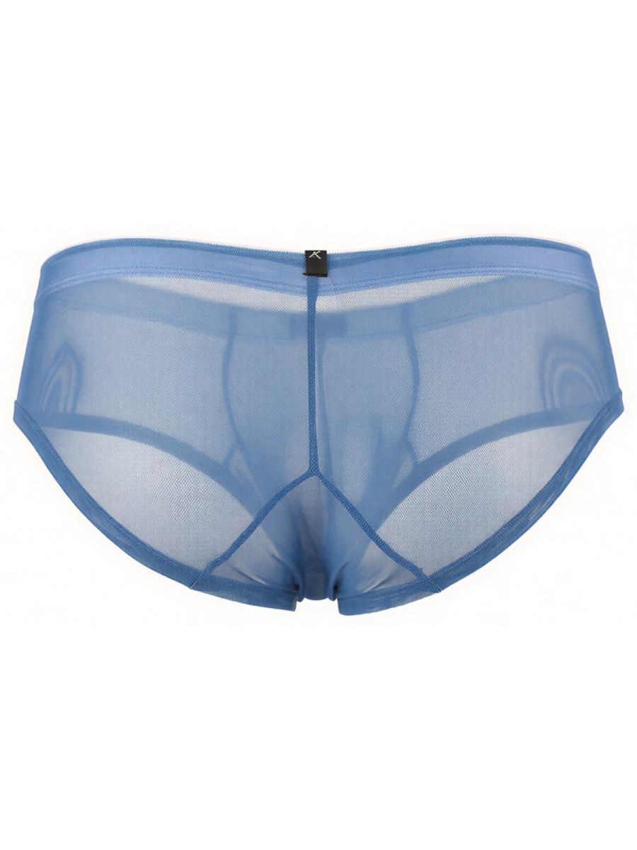 Xtremen Microfiber Mesh Briefs - Blue
