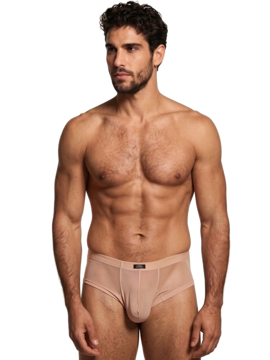 Xtremen Microfiber Mesh Briefs - Brown