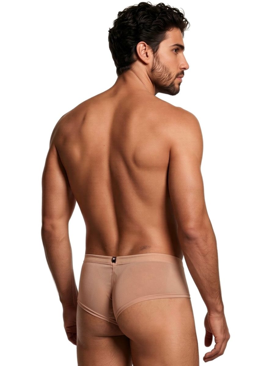 Xtremen Microfiber Mesh Briefs - Brown