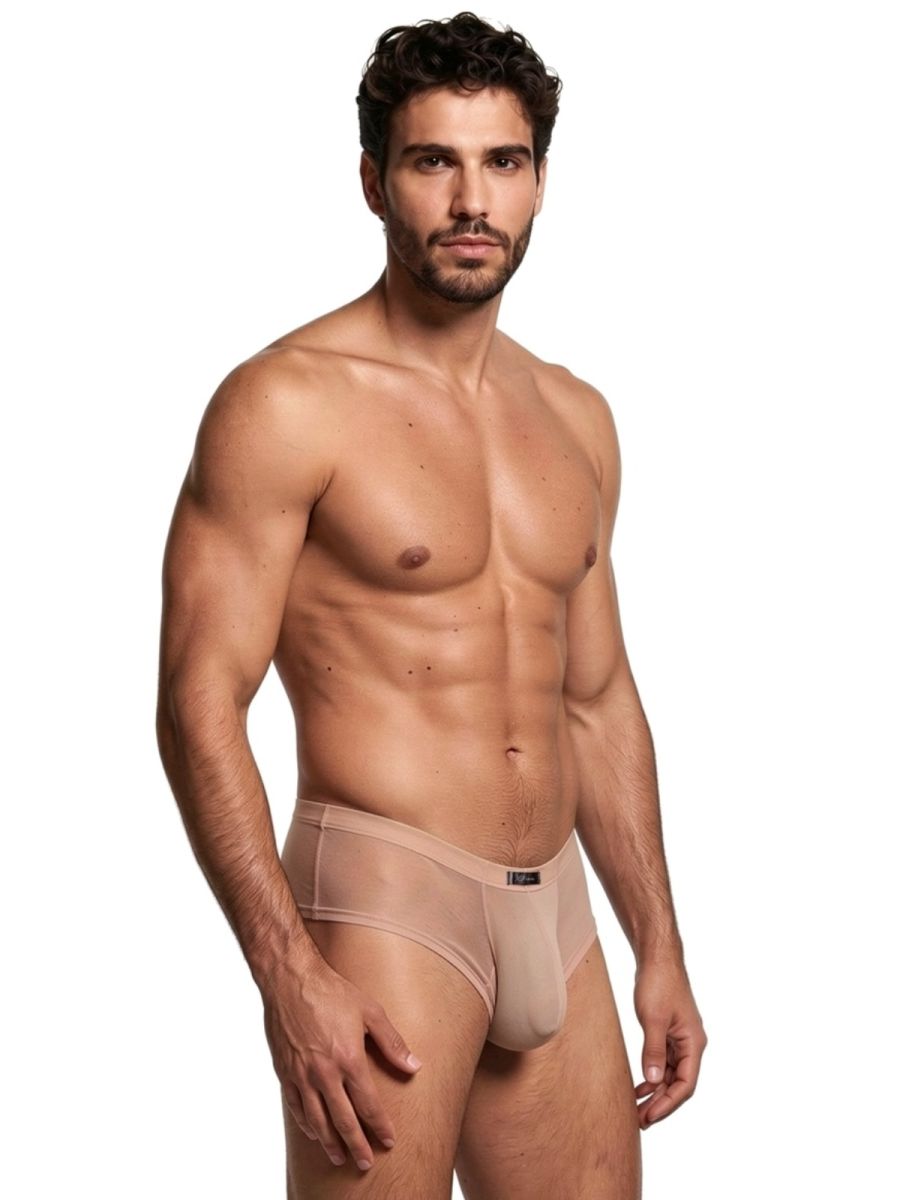 Xtremen Microfiber Mesh Briefs - Brown