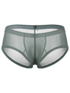 Xtremen Microfiber Mesh Briefs - Green