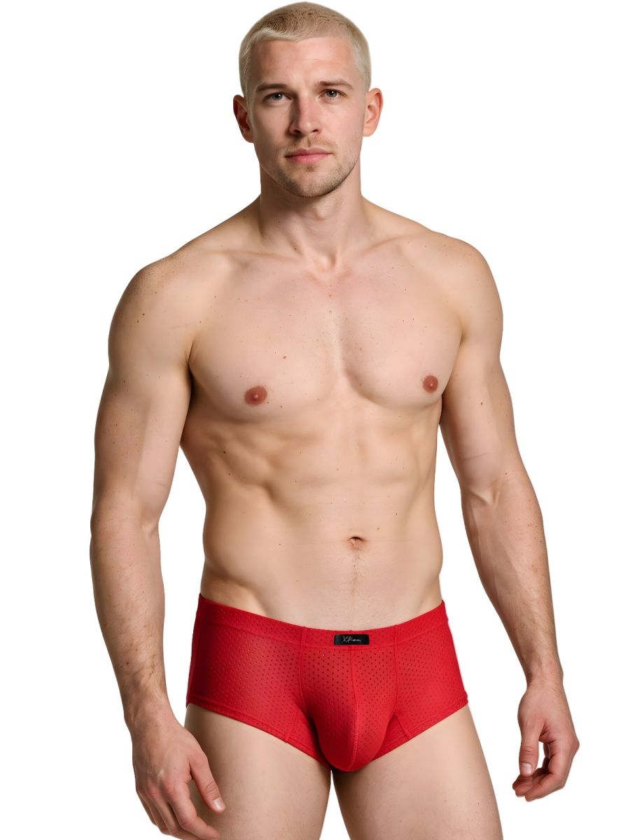 Xtremen Microfiber Mesh V-Cut Briefs - Red