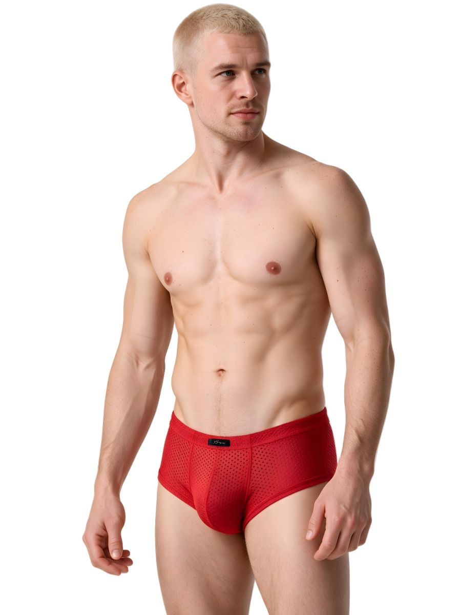 Xtremen Microfiber Mesh V-Cut Briefs - Red