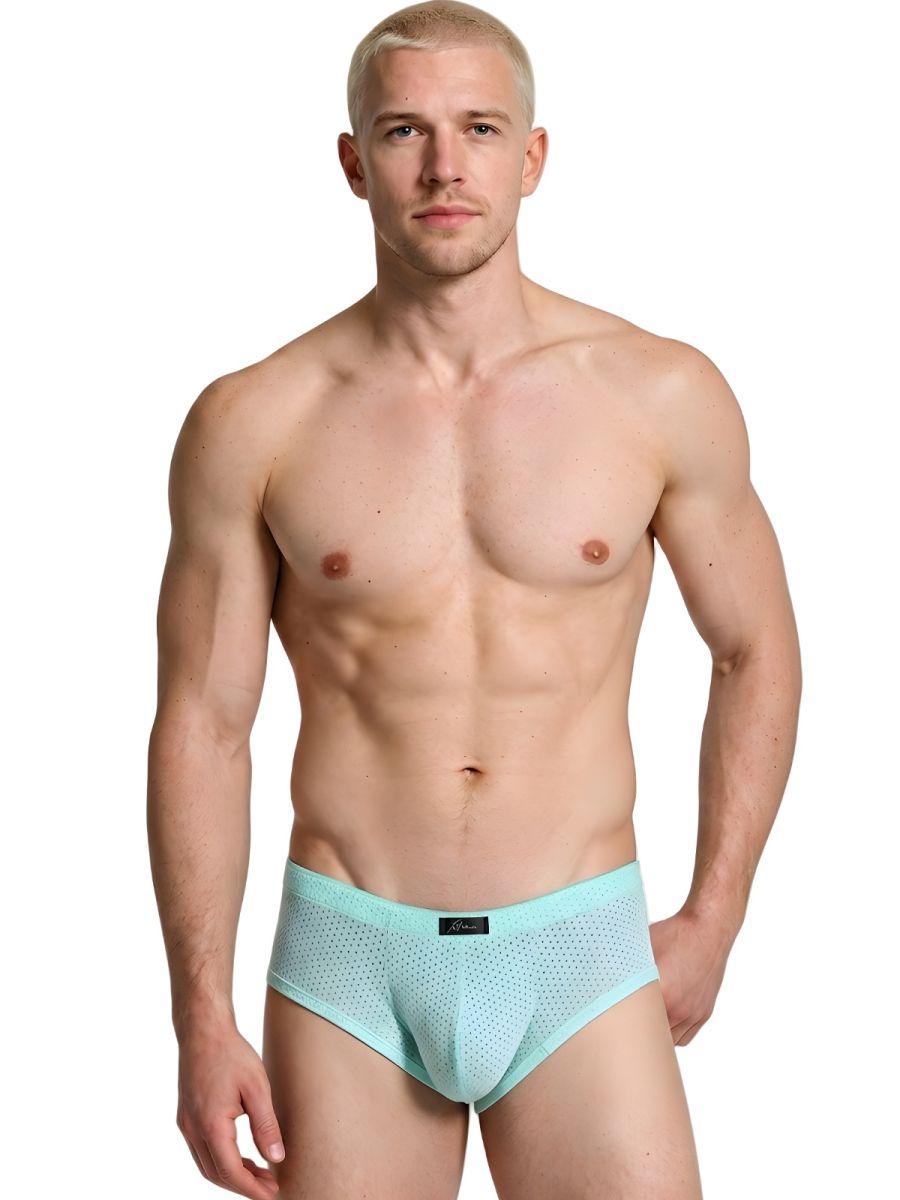 Xtremen Microfiber Mesh V-Cut Briefs - Seawater