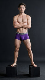 Xtremen Microfiber Trunks for Daily Support - Purple