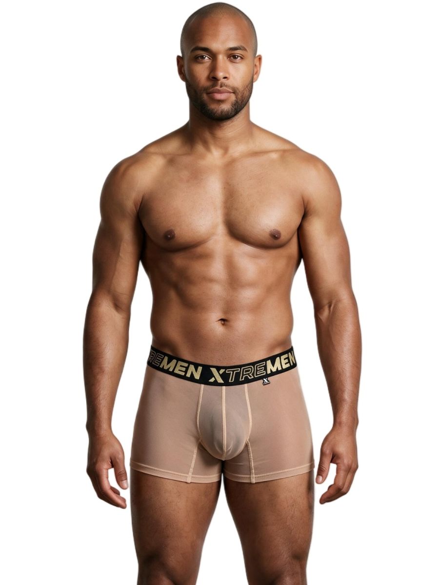 Xtremen Microfiber Mesh Boxer Briefs - Brown
