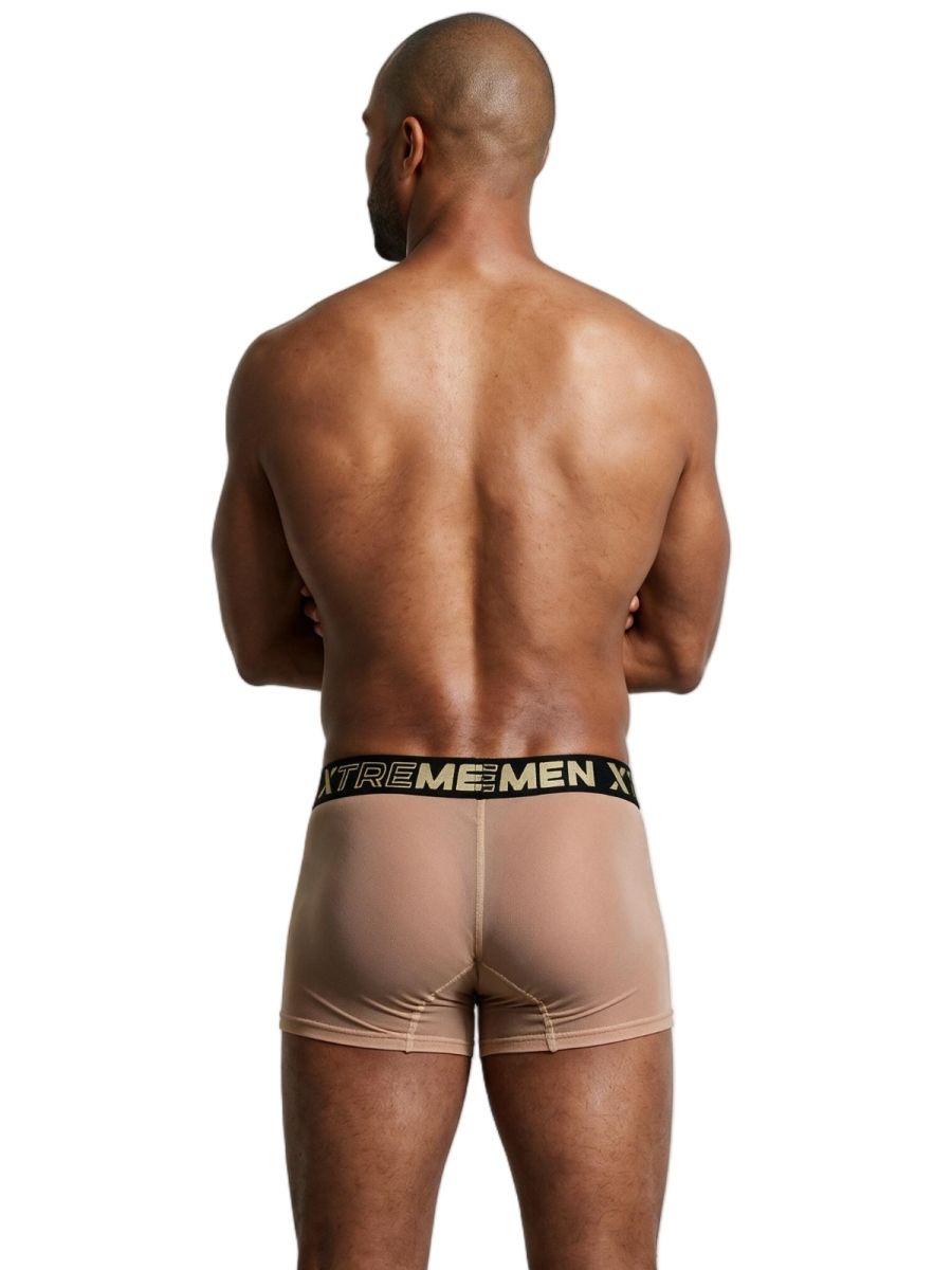 Xtremen Microfiber Mesh Boxer Briefs - Brown