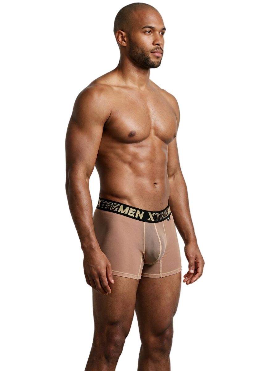 Xtremen Microfiber Mesh Boxer Briefs - Brown