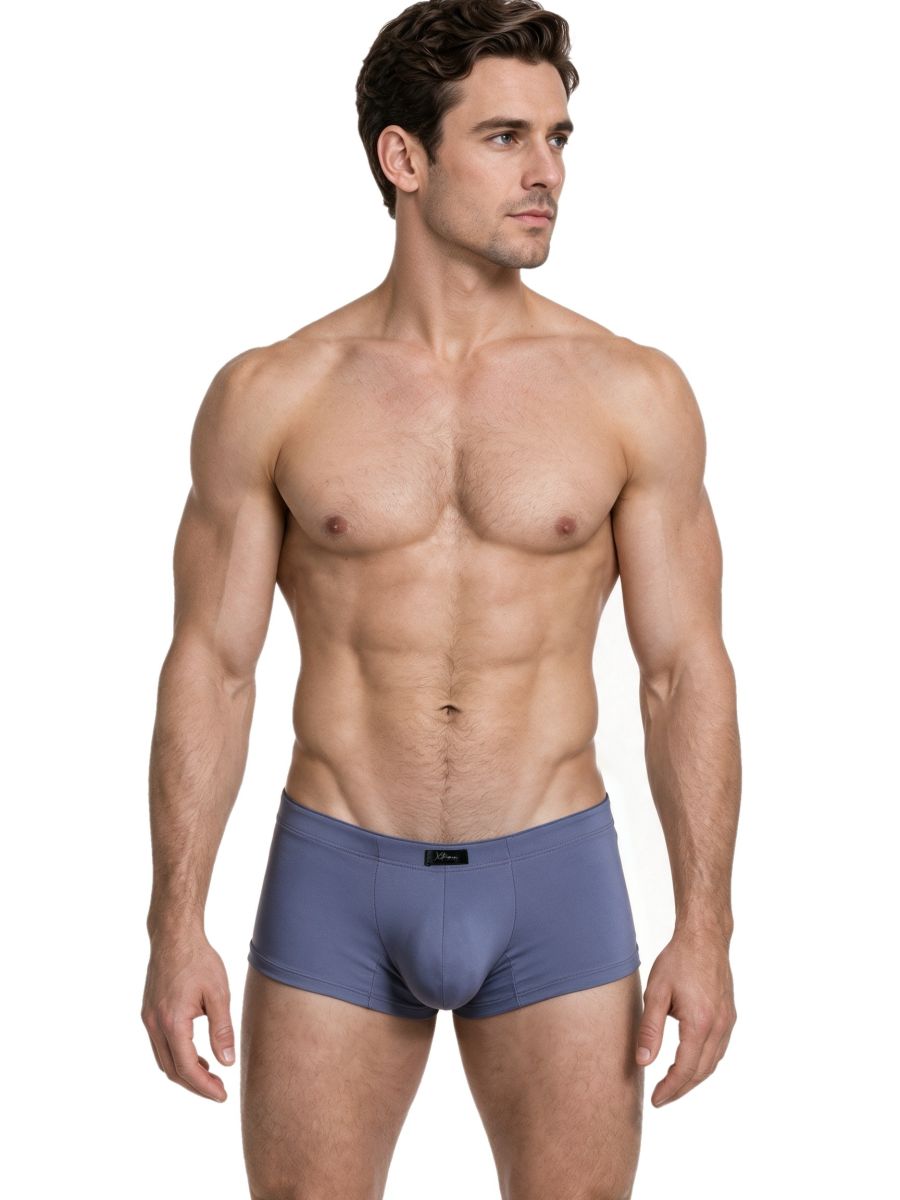 Xtremen Sleek Microfiber Low-Rise Briefs - Gray