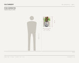 Ryan Carrington, Amphora Boys_02, 2022 — scale drawing, 14 × 20 inches, with a 5 ft 10 in figure for scale