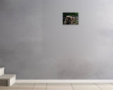 Gregory Gore, Baxter, 2026 — shown in situ, true to scale