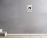 Rafael Santiago, in dreams, 2022 — shown in situ, true to scale
