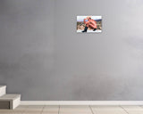 Jeffrey Aviles, Joshua Tree Cowboy, 2026 — shown in situ, true to scale