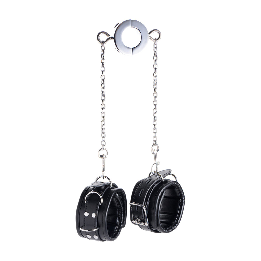 Hells Tether Ball Stretcher Humbler by master series
