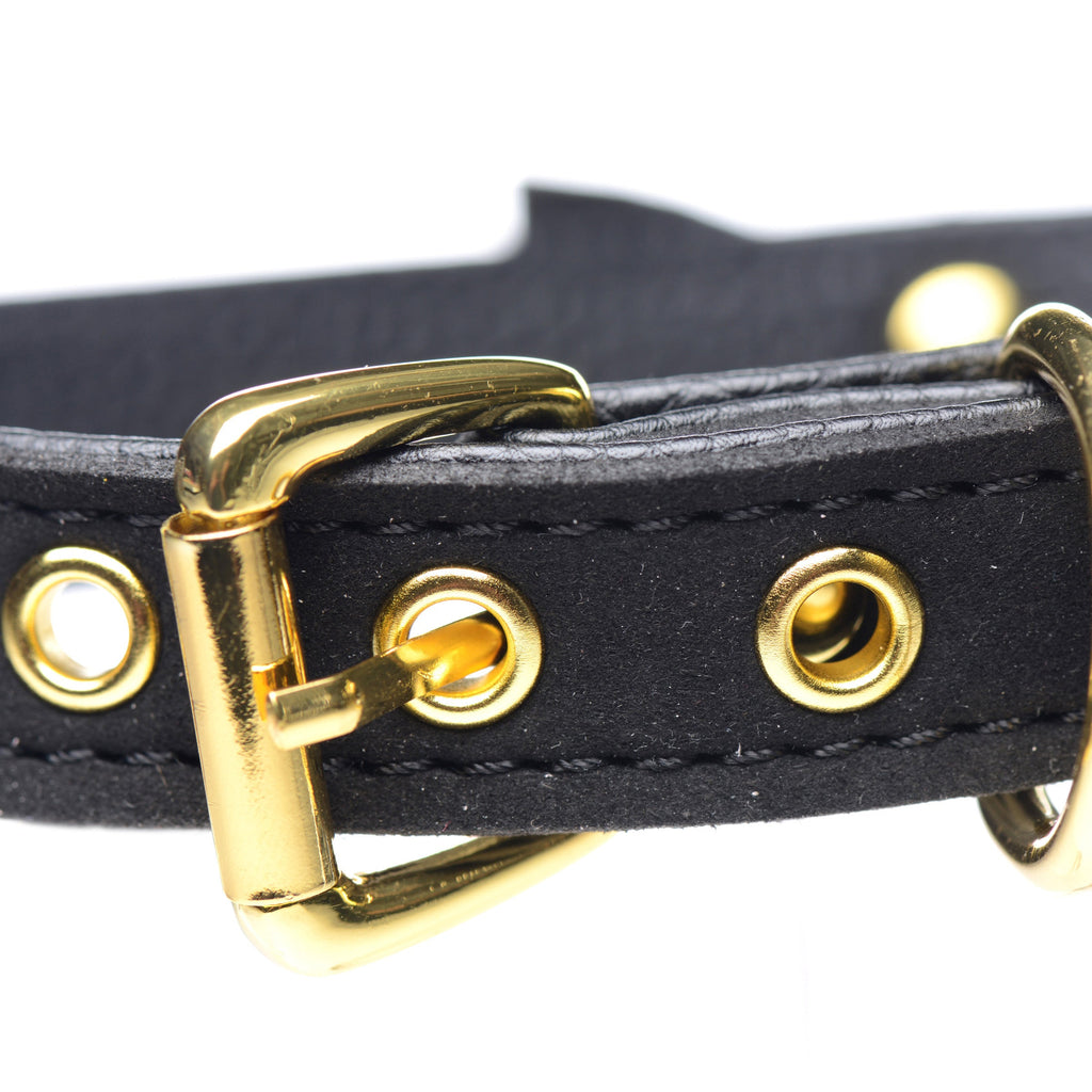 Golden Kitty Cat Bell Collar - Black-Gold