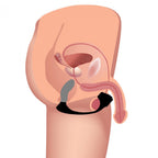 7X Silicone Prostate Plug w- Ball Stretcher & Remote by trinity vibes