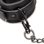 Master of Kink 10 Piece Deluxe Bondage Set