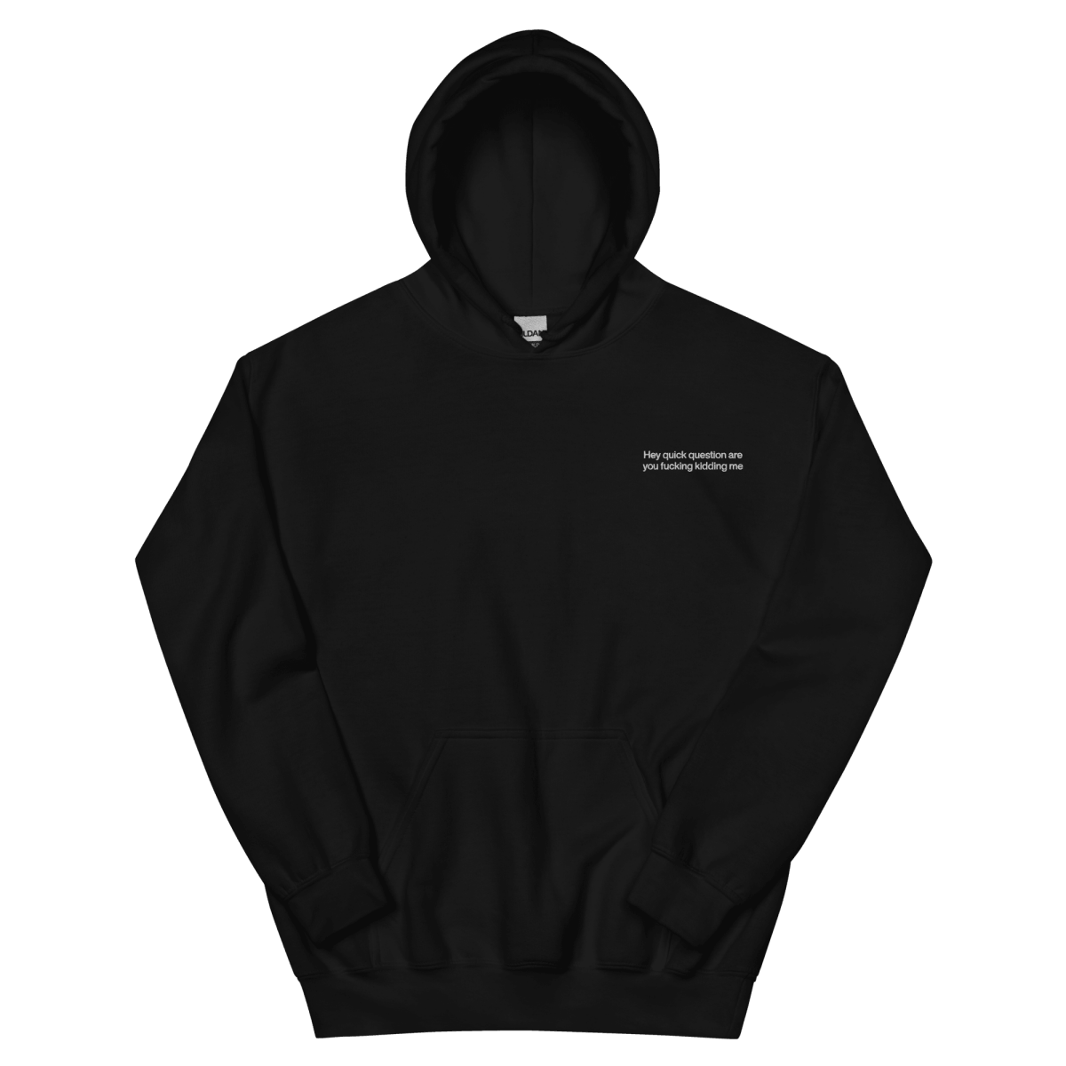 Hey Quick Question Are You Fucking Kidding Me Hoodie