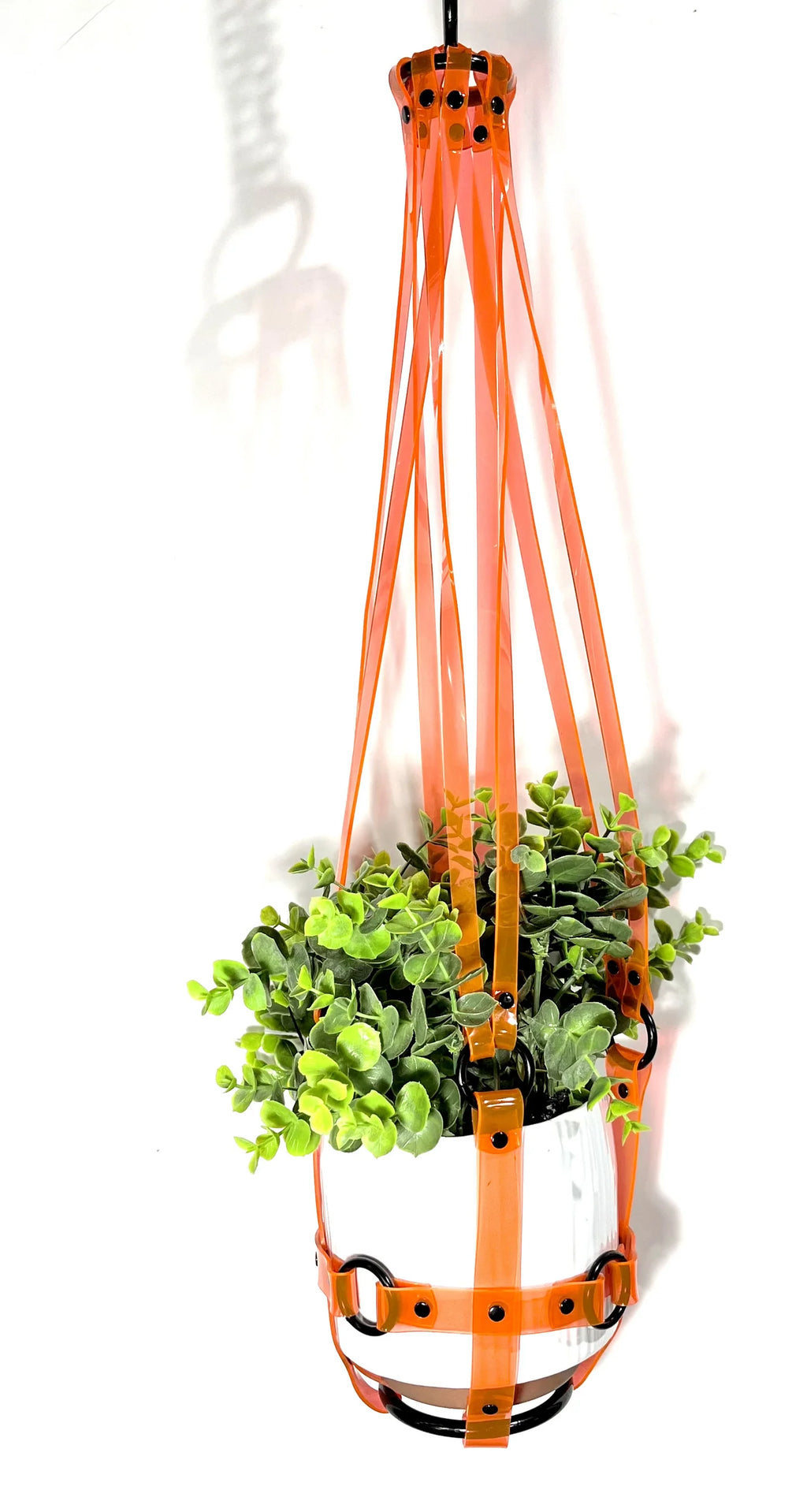 Basic Bitch 6" Plant Hanger in Clear Orange by Puritan Candy