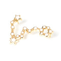 Constellations Pisces Pin