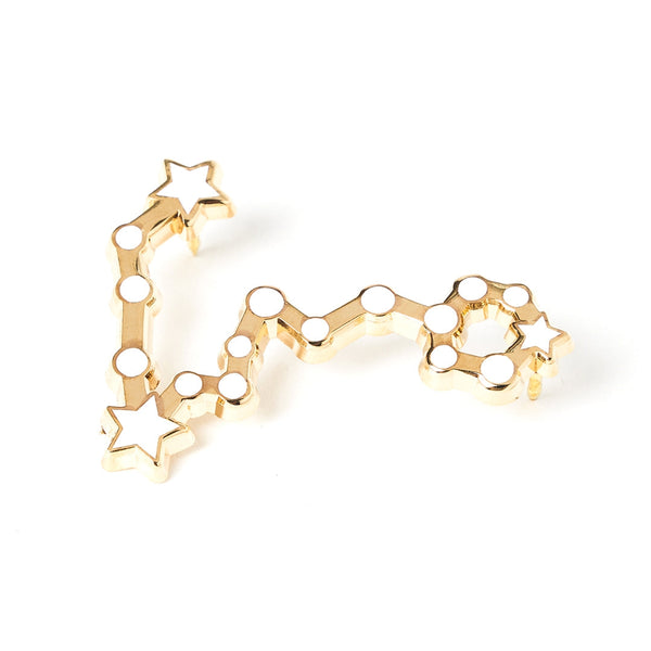 Constellations Pisces Pin
