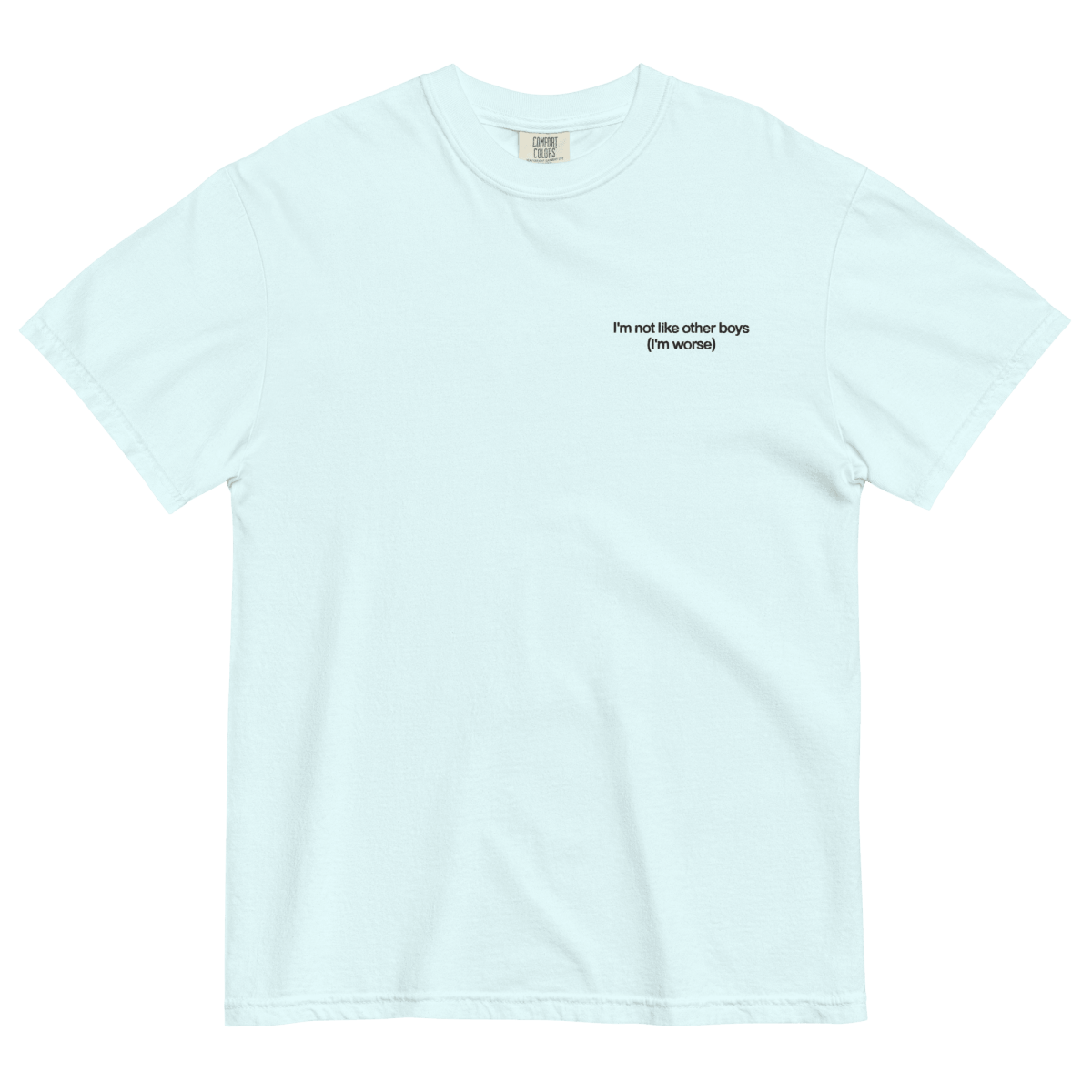 I'm Not Like the Other Boys Embroidered Shirt