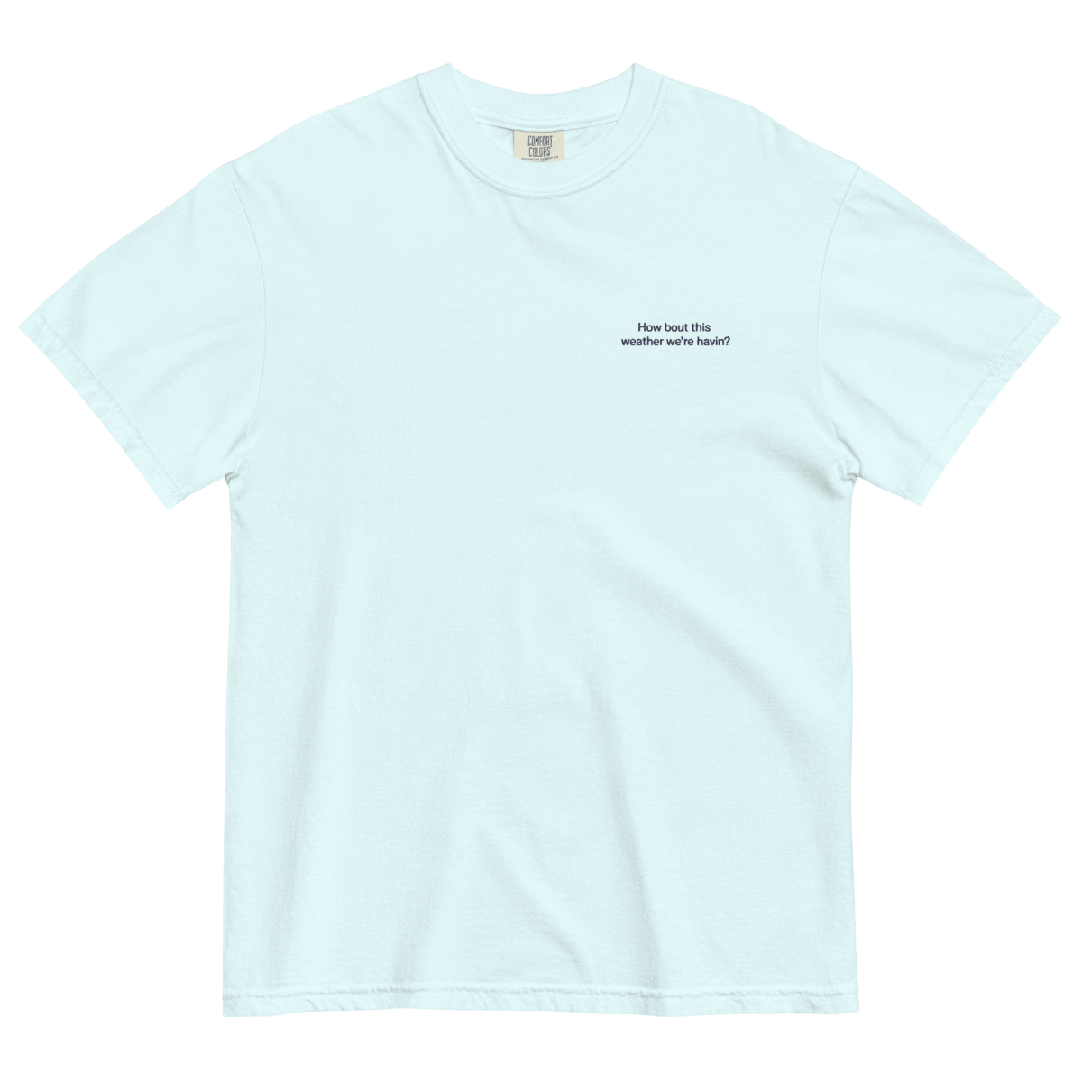 How Bout This Weather We're Havin Embroidered Shirt