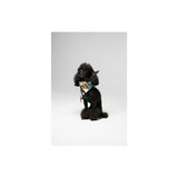 Jean-Michel Basquiat in Italian Bandana