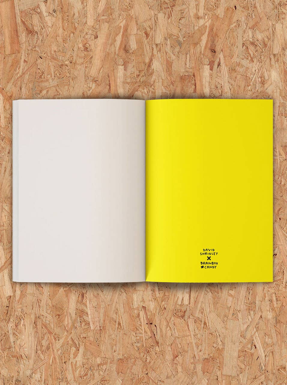Art Save The World Sketchbook by David Shrigley