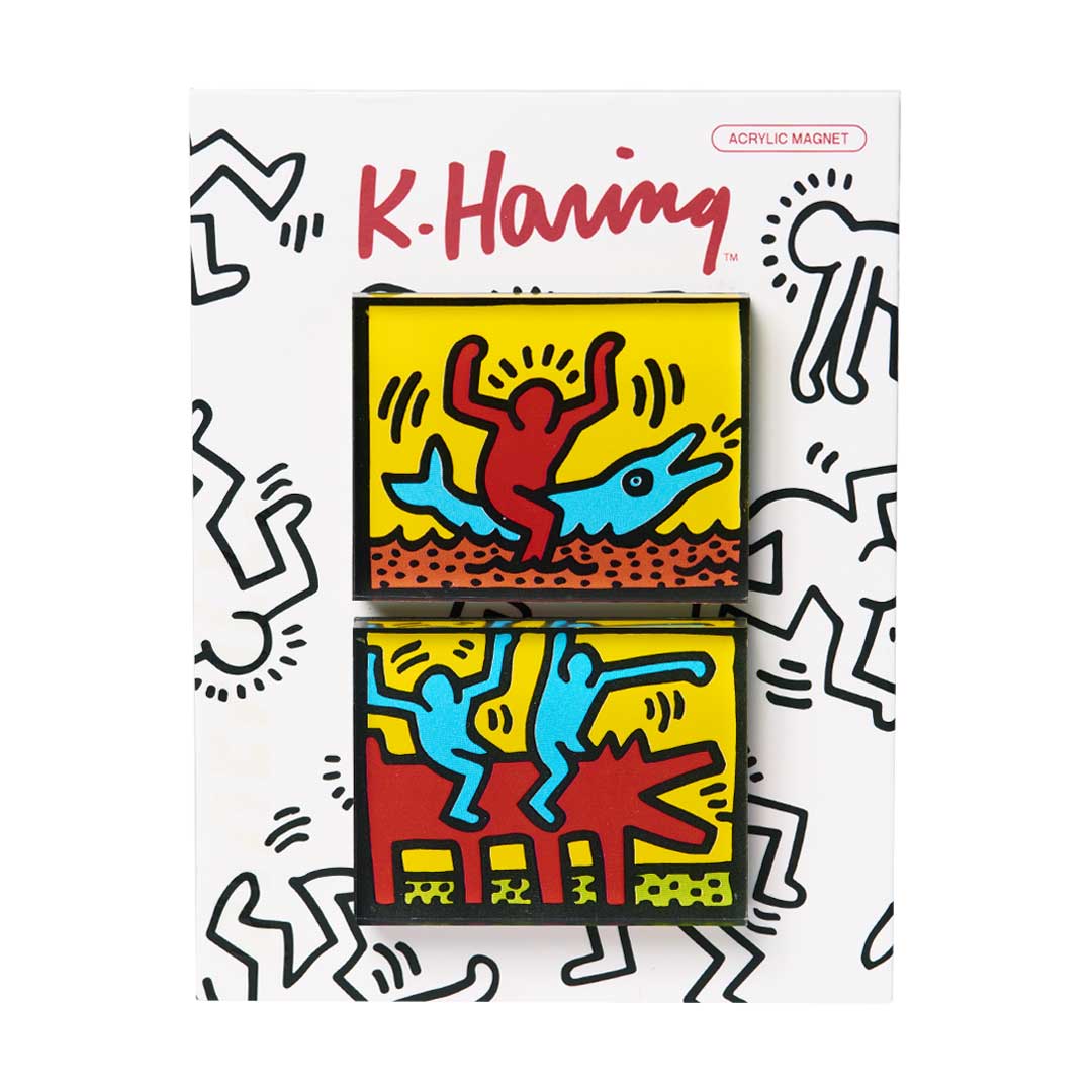Keith Haring - Dolphin Ride Magnet Set