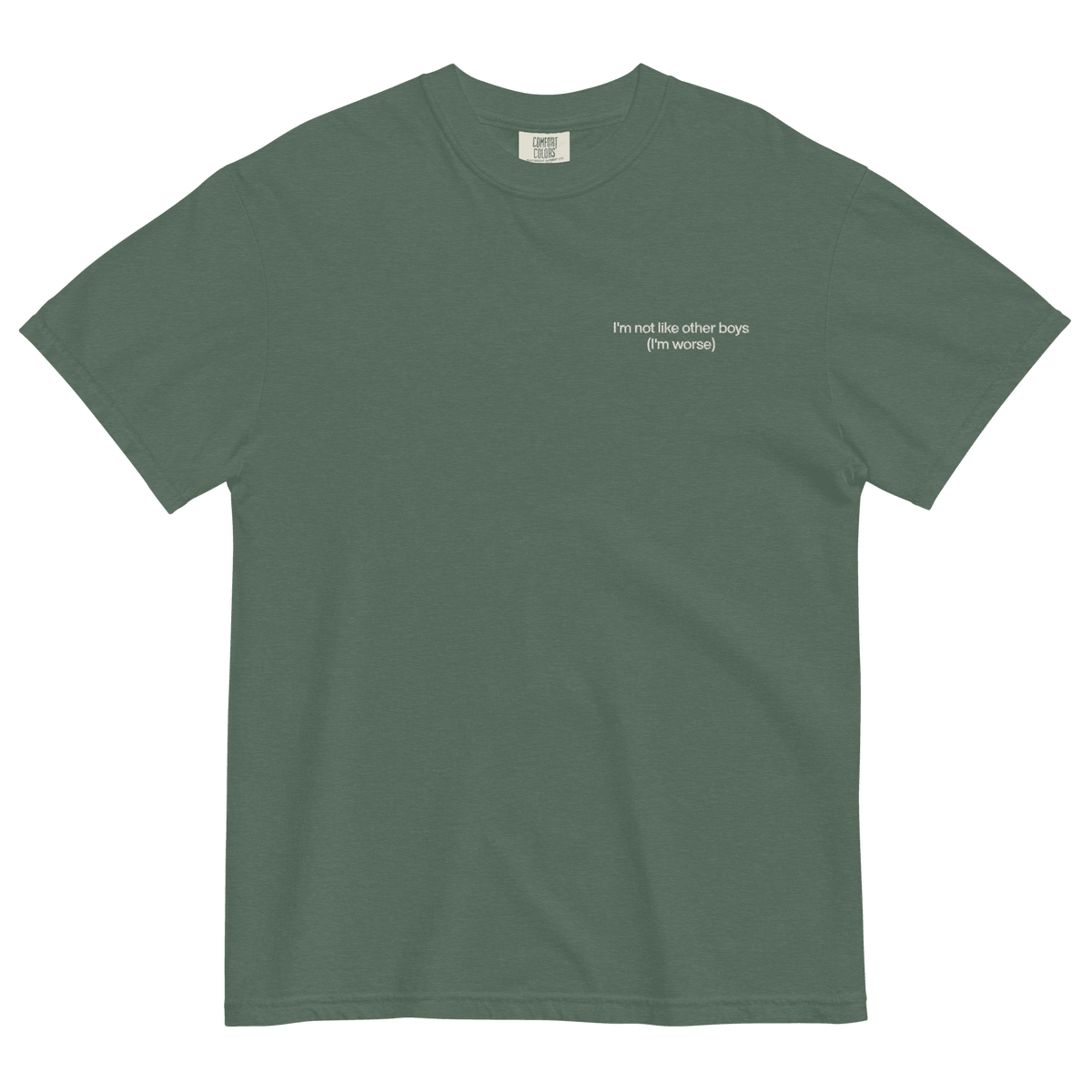 I'm Not Like the Other Boys Embroidered Shirt