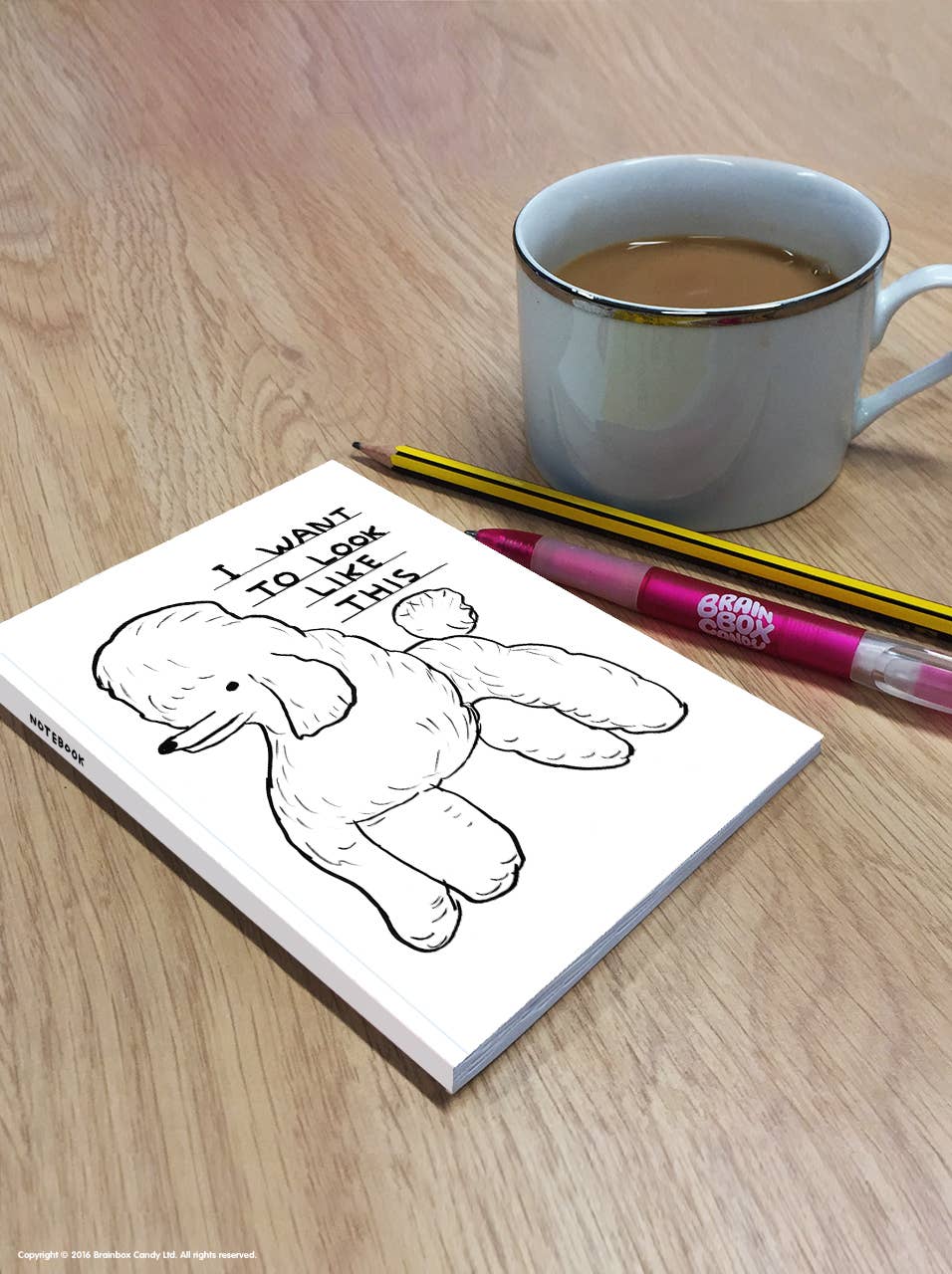 David Shrigley A6 Notebook - Look Like This