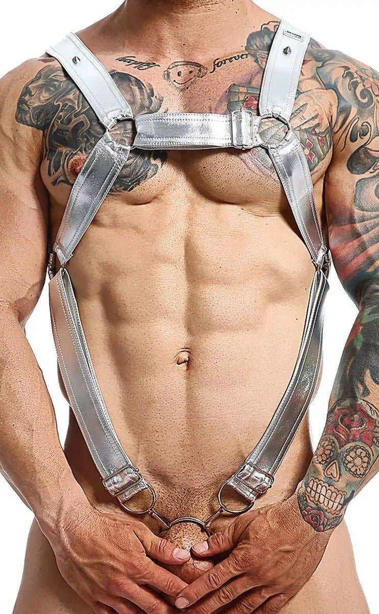 Dngeon Cross C-Ring Harness - Silver Mirror