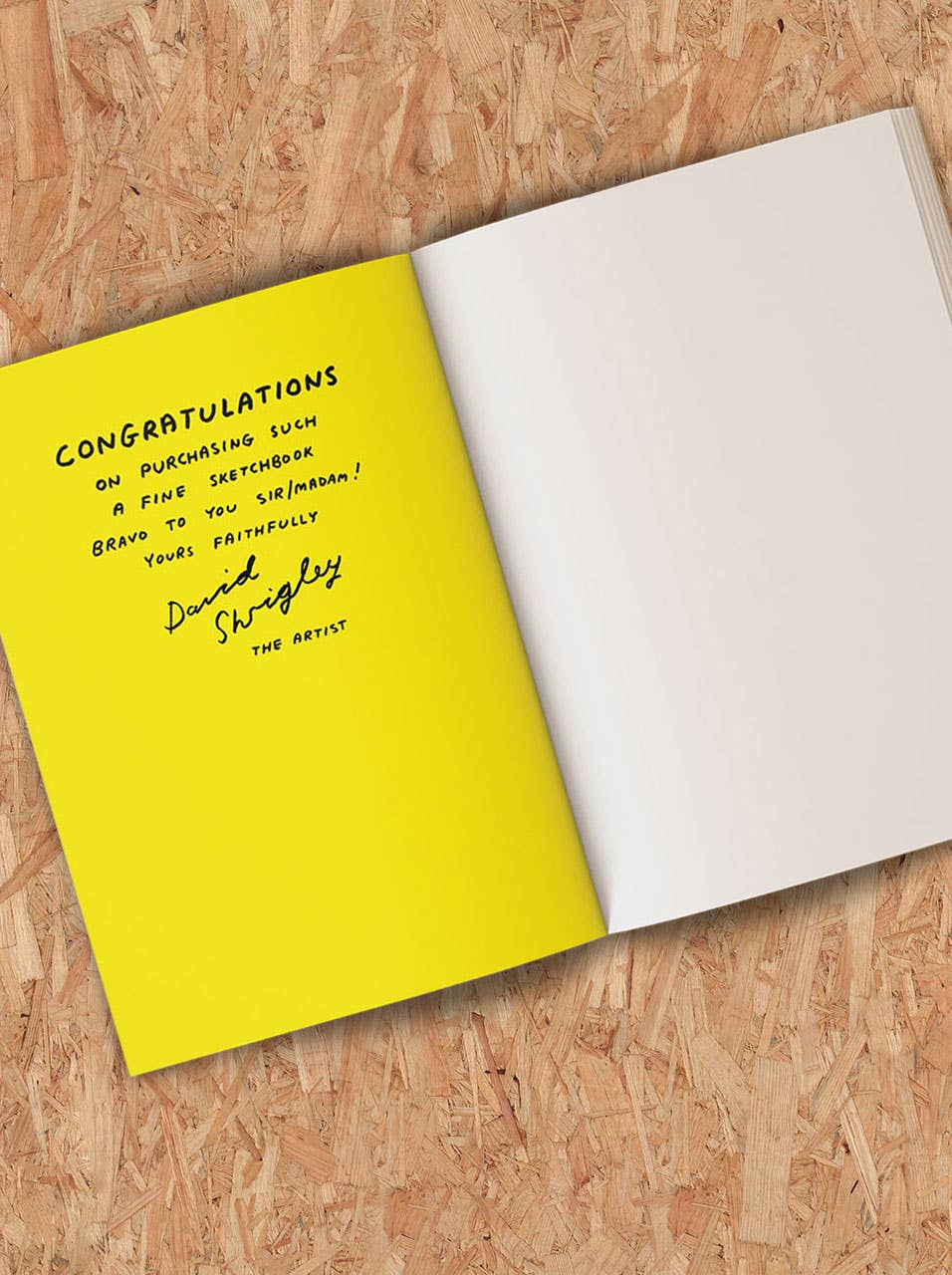 Disrespect Drawing Sketchbook by David Shrigley