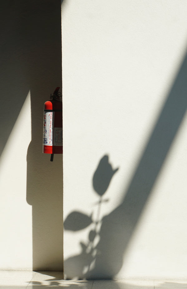 Gabriel Yuri, Extinquish, 2019